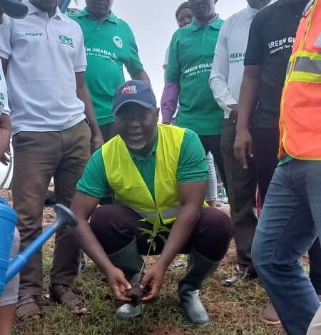 Green Ghana Day in Kpando