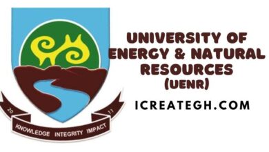 Employment at University of Natural Resources (UENR)